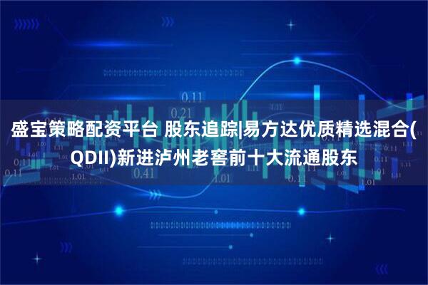 盛宝策略配资平台 股东追踪|易方达优质精选混合(QDII)新进泸州老窖前十大流通股东