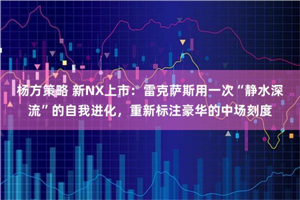 杨方策略 新NX上市：雷克萨斯用一次“静水深流”的自我进化，重新标注豪华的中场刻度